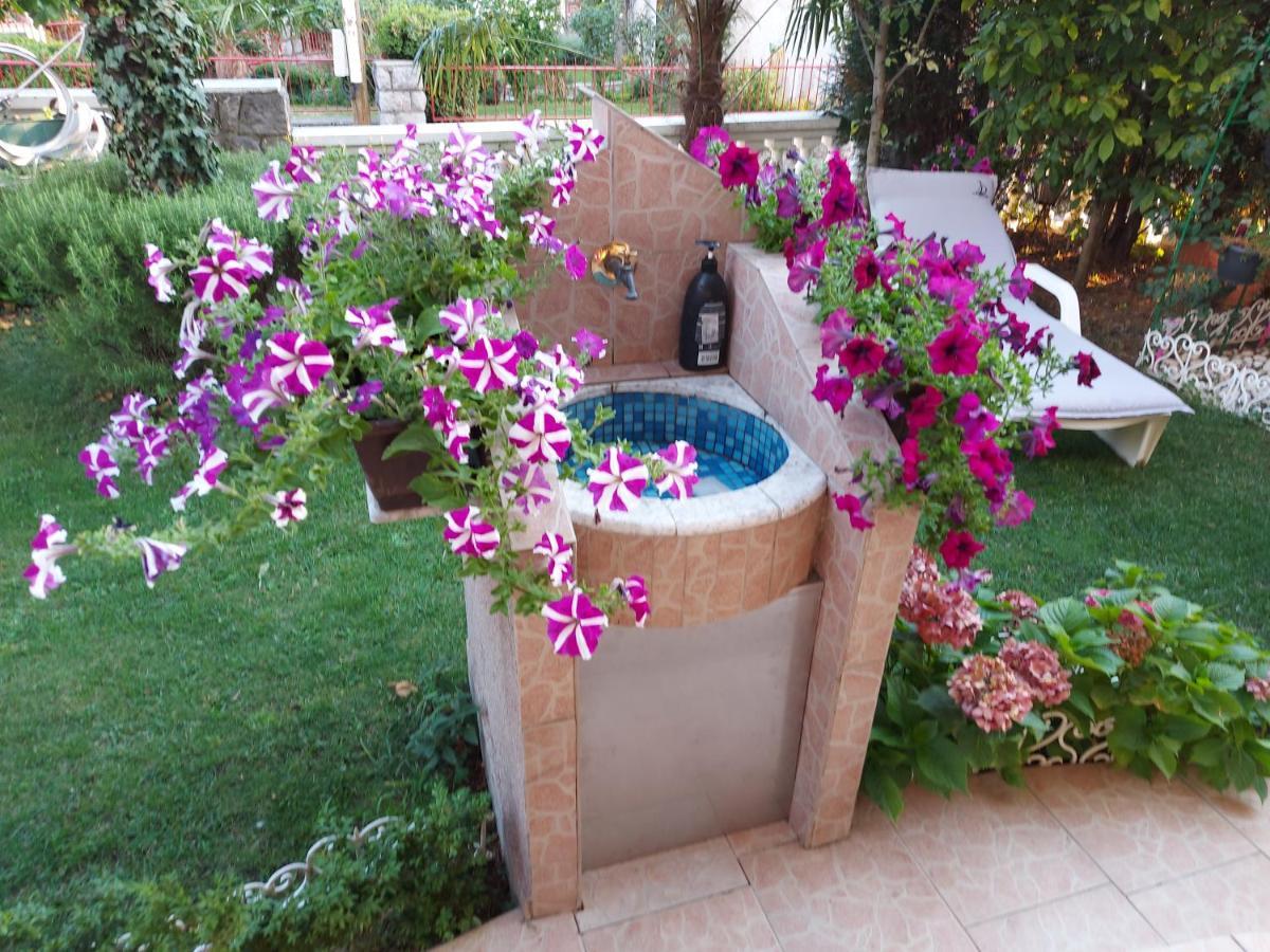 Apartman Palma Marinici  Exterior photo